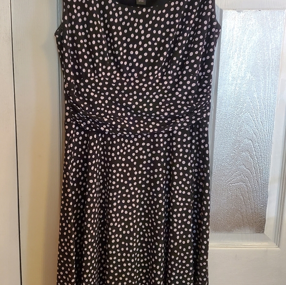 Perceptions Dresses & Skirts - Polka Dotted Fit And FLARE DRESS. SIZE 6P